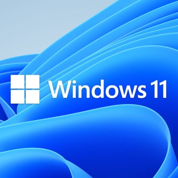 MICROSOFT WIN 11 PRO 64BIT DSP - Image 2